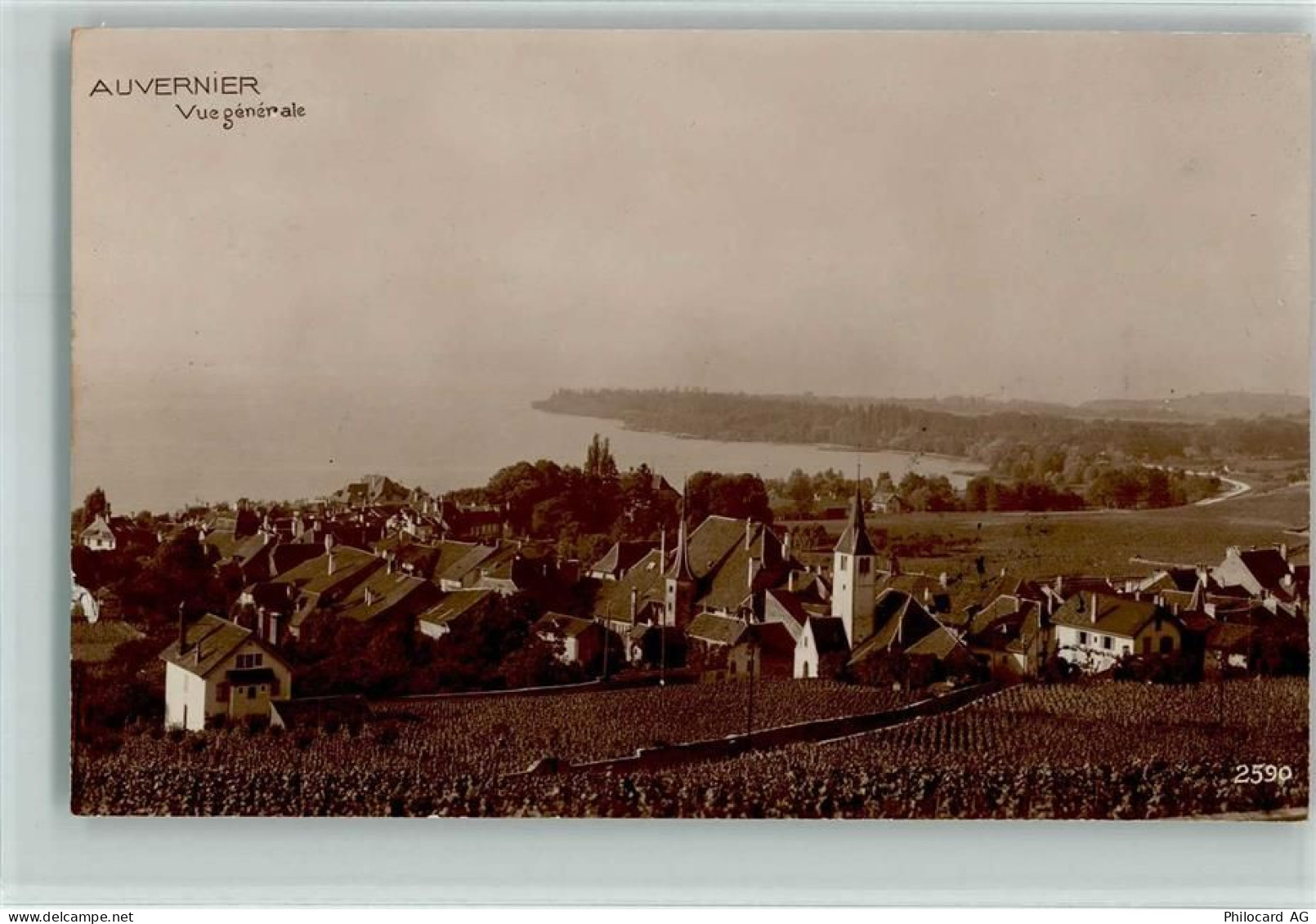 2012 Auvernier - Gesamtansicht Weinberge - 10147589