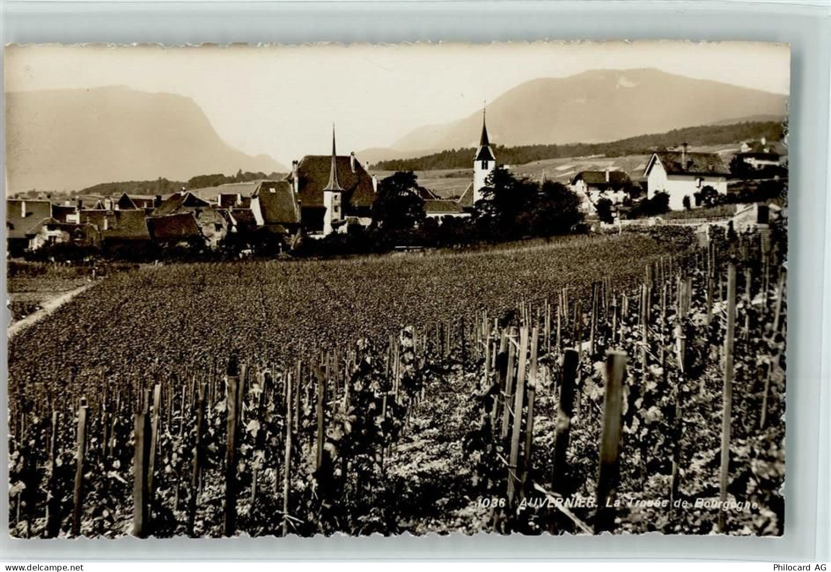 2012 Auvernier - Ortsansicht Weinberge - 10147802