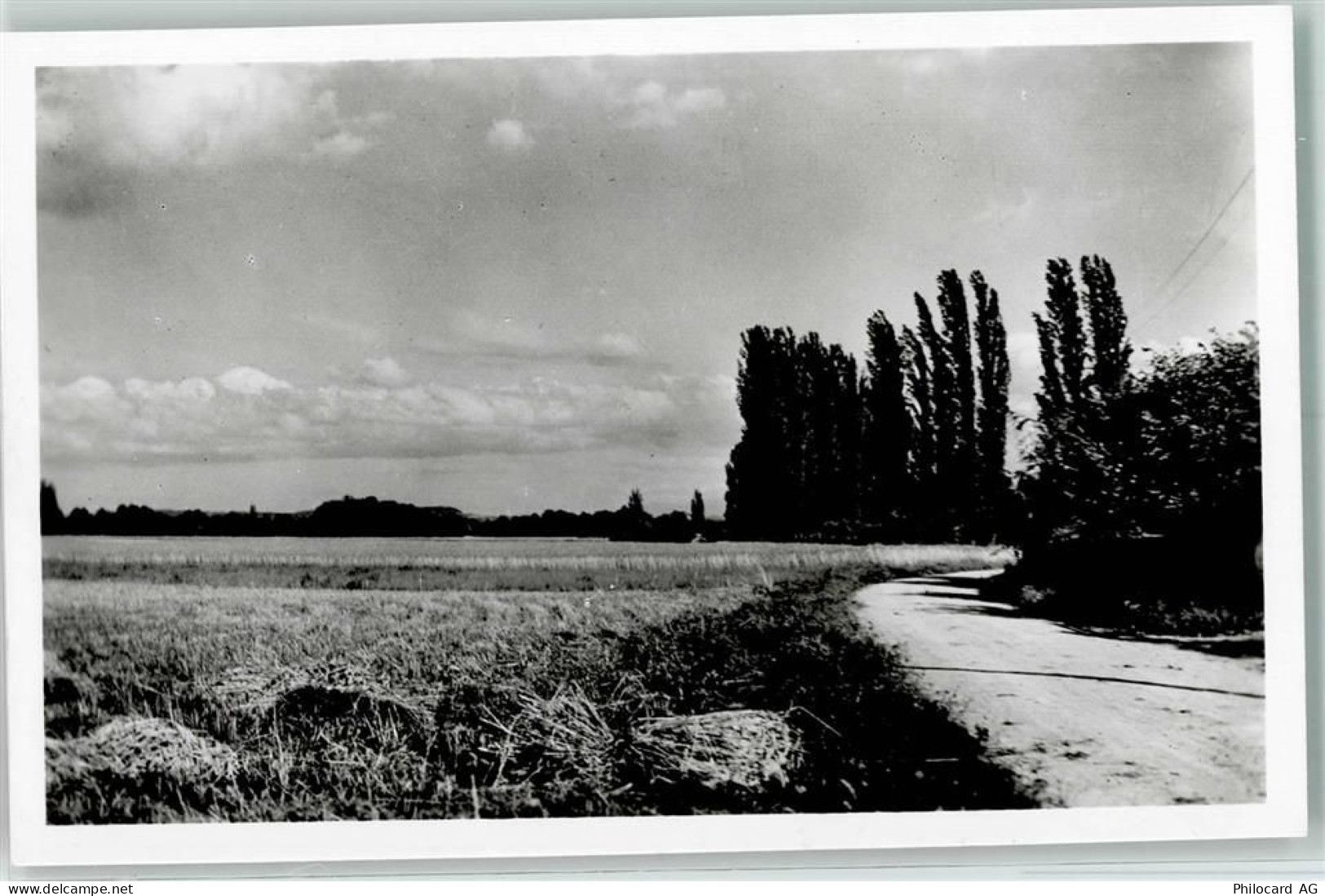 2017 Grandchamp Boudry - Areuse - 10306256