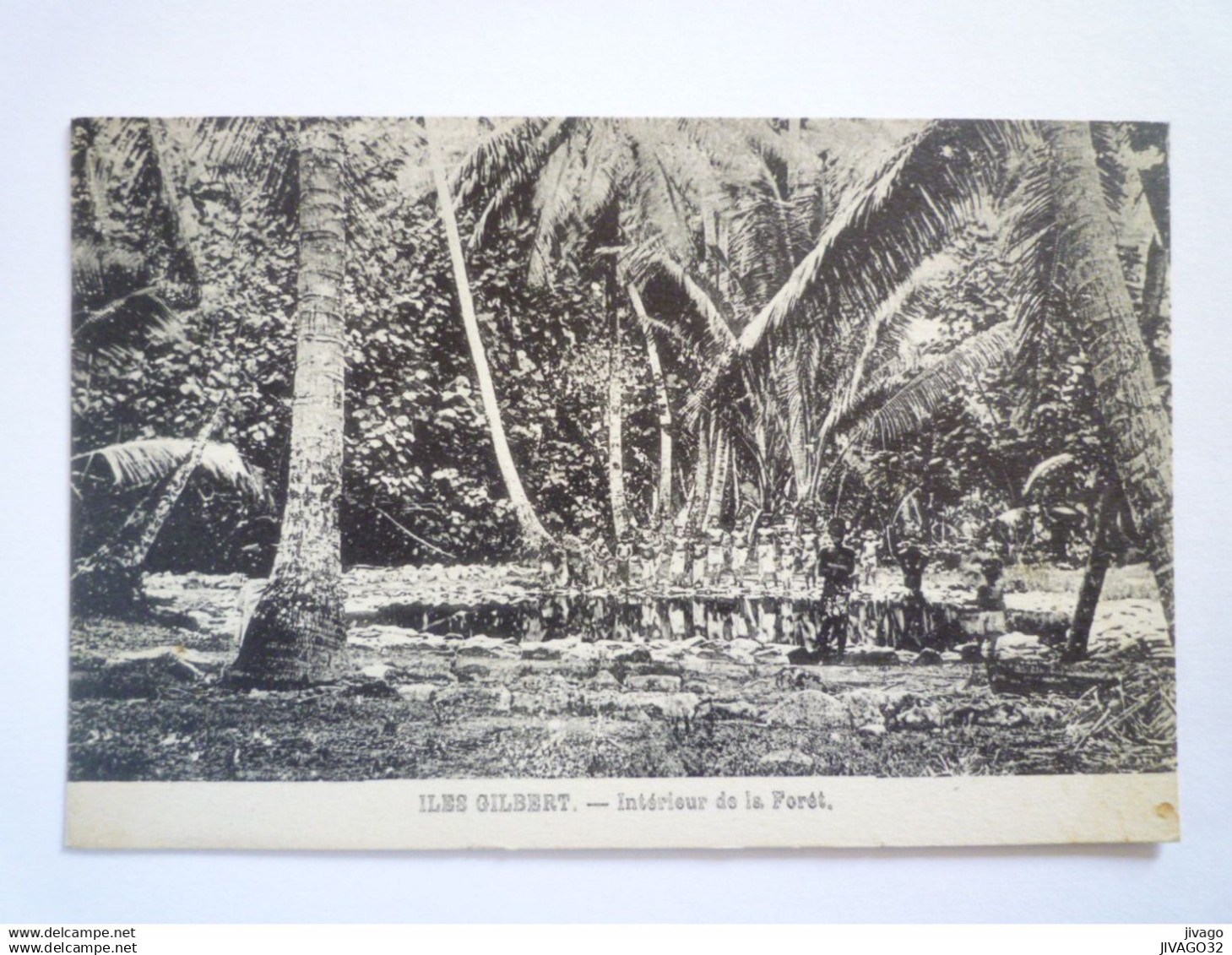 2022 - 2260  ILES GILBERT  :  Intérieur de la Forêt   XXX