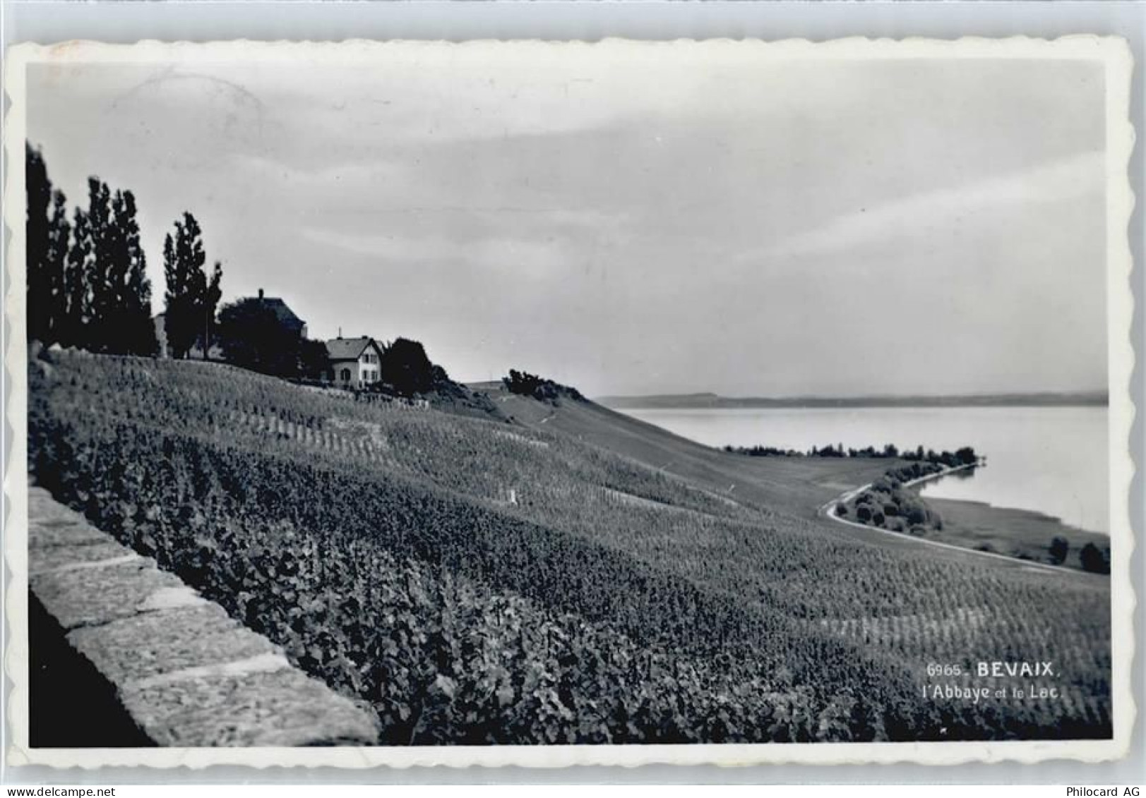 2022 Bevaix - 50413023