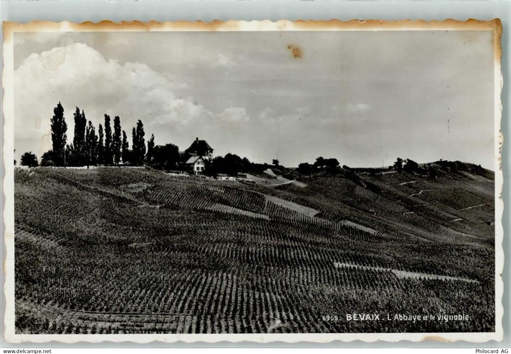 2022 Bevaix Gebrauchsspuren Reber - 10301980