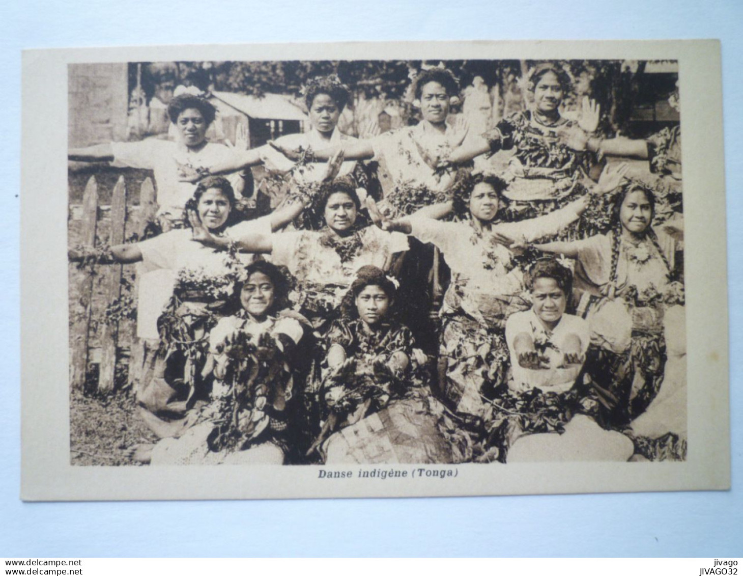 2023 - 1735  TONGA  :  DANSE INDIGENE   XXX