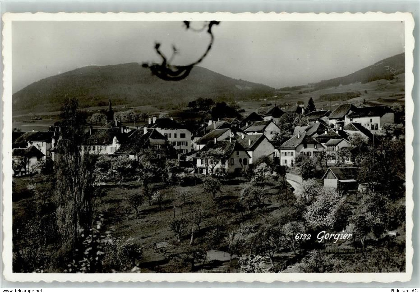 2023 Gorgier - 13127647