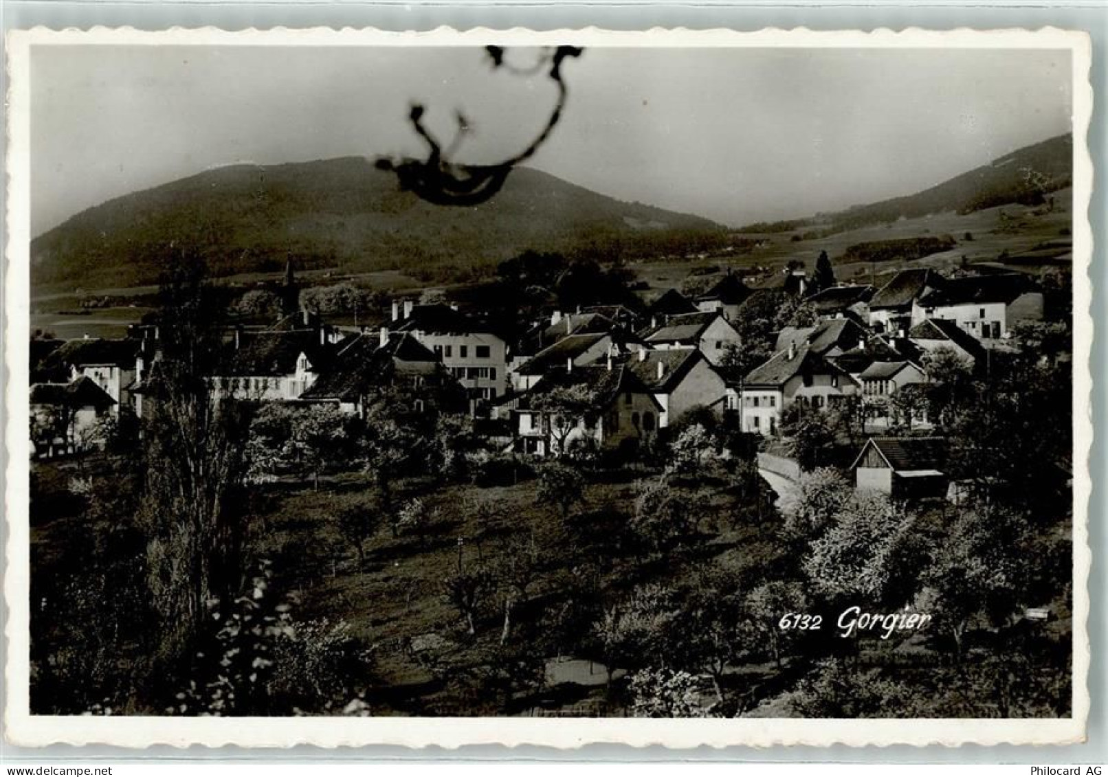 2023 Gorgier - 13905224