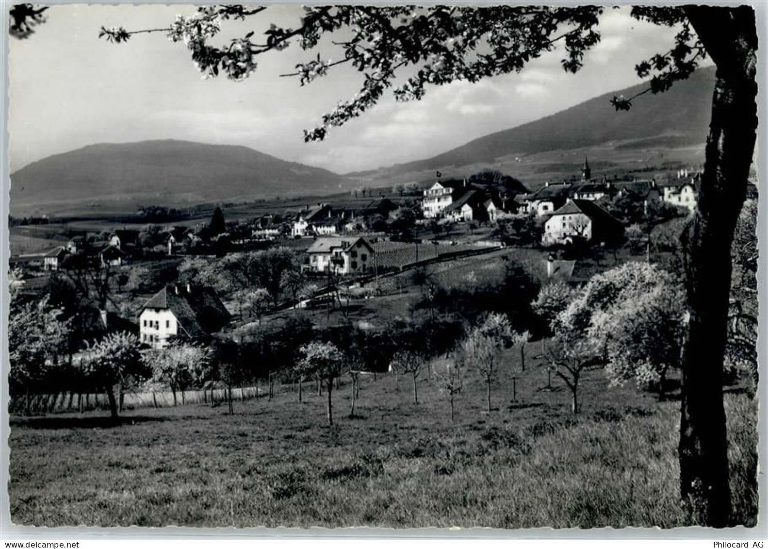 2023 Gorgier Foto AK Mont Aubert - 51300756