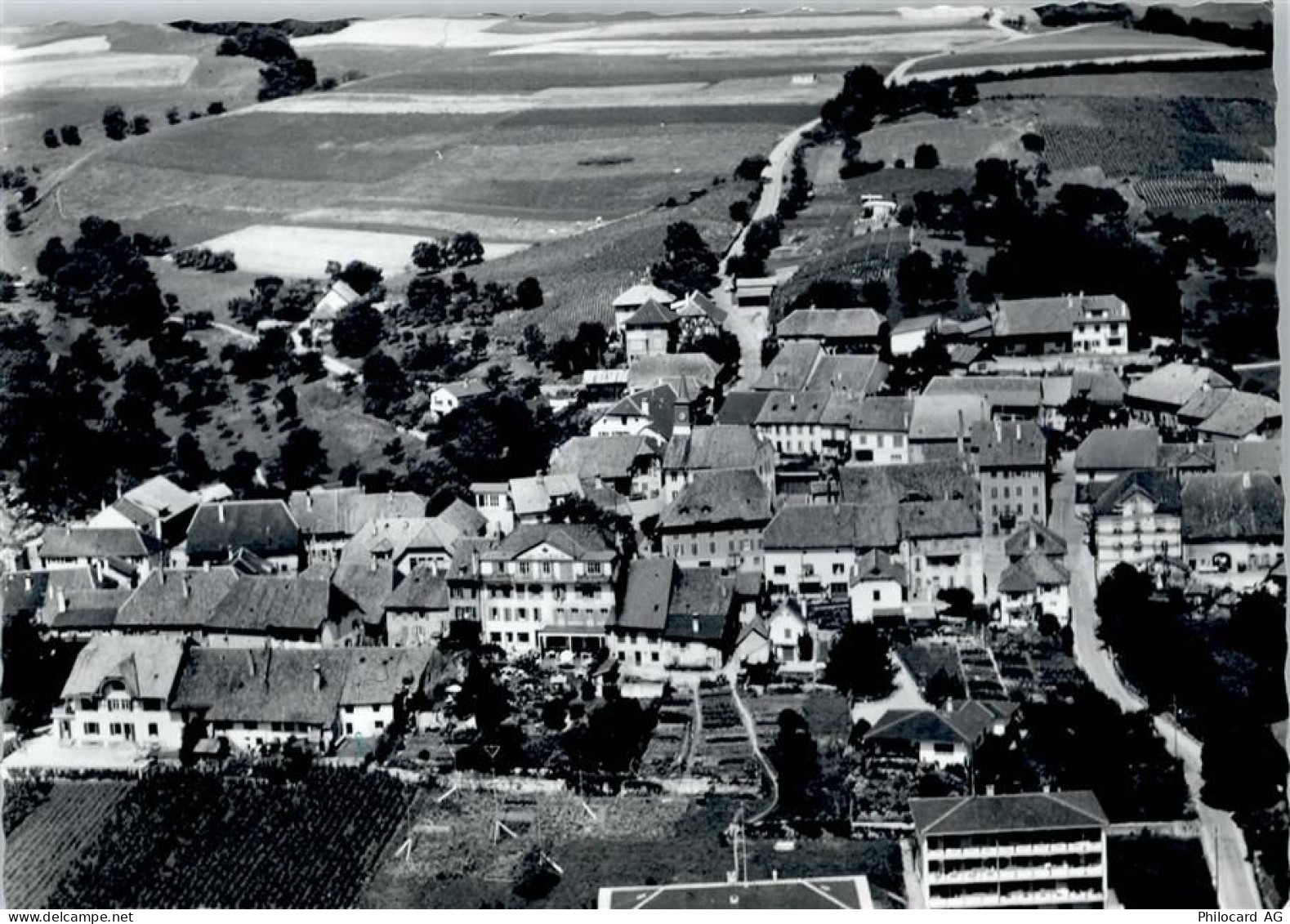 2023 Gorgier - Gesamtansicht - 50799706