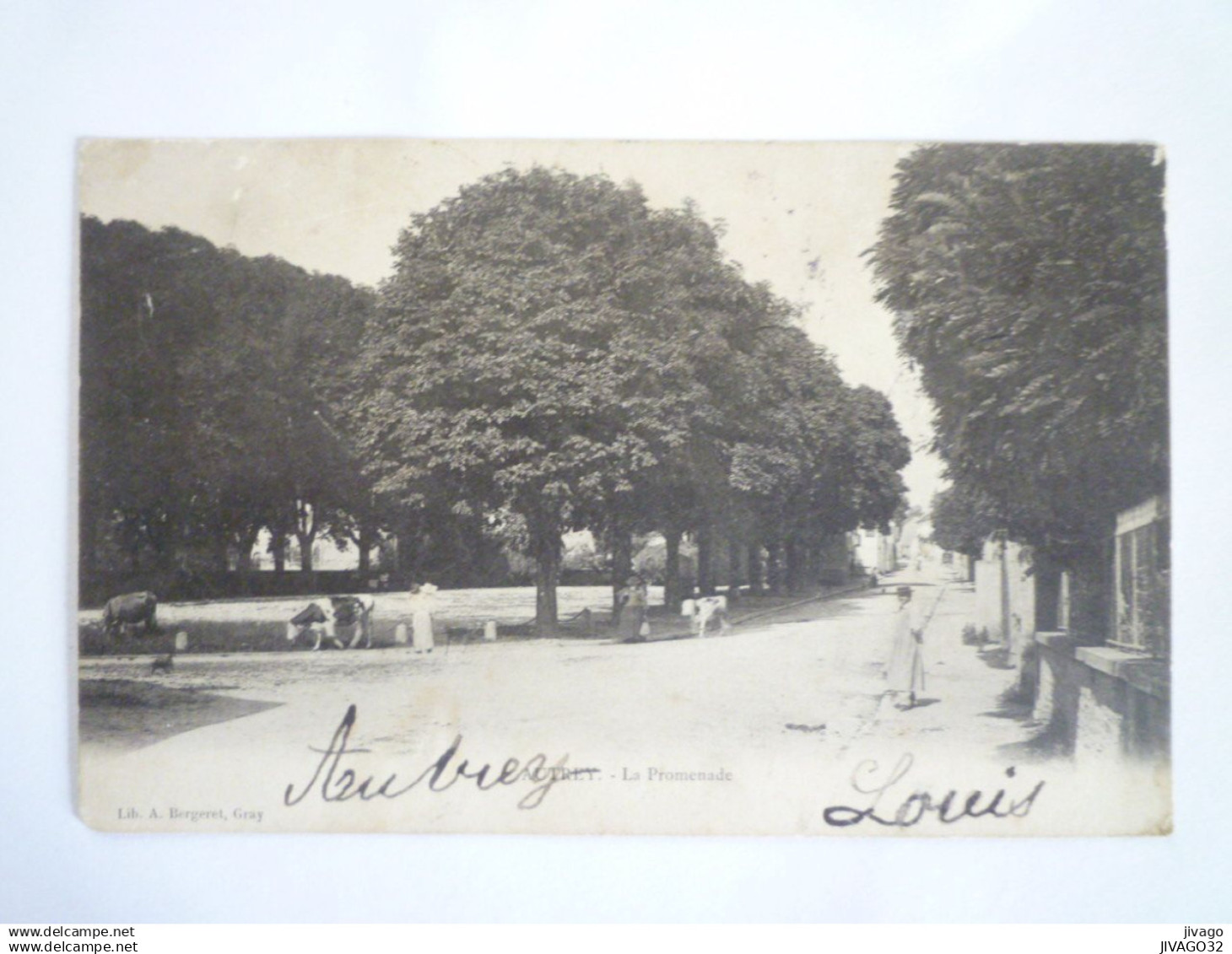 2024 - 3010  AUTREY-LES-GRAY  (Haute-Saône)  :  La Promenade   1904    XXX