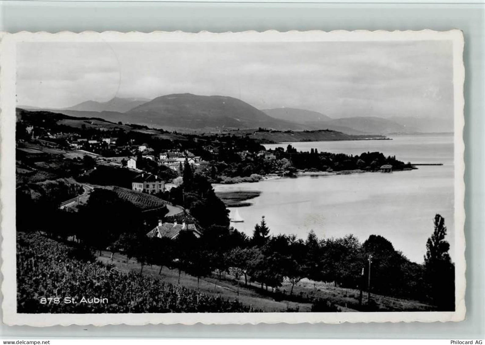 2024 St-Aubin-Sauges St-Aubin - Rebberg Neuenburgersee - 11051177