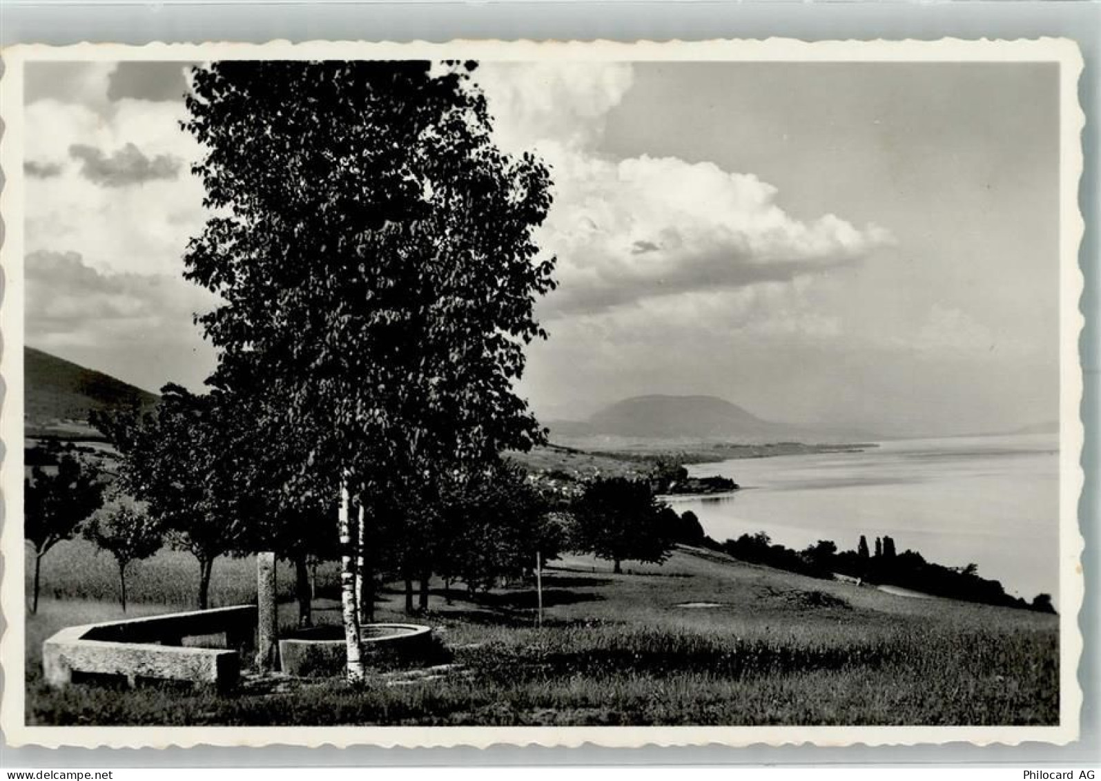 2028 Vaumarcus 1949 Foto AK Camp de Vaumarcus - 38067640