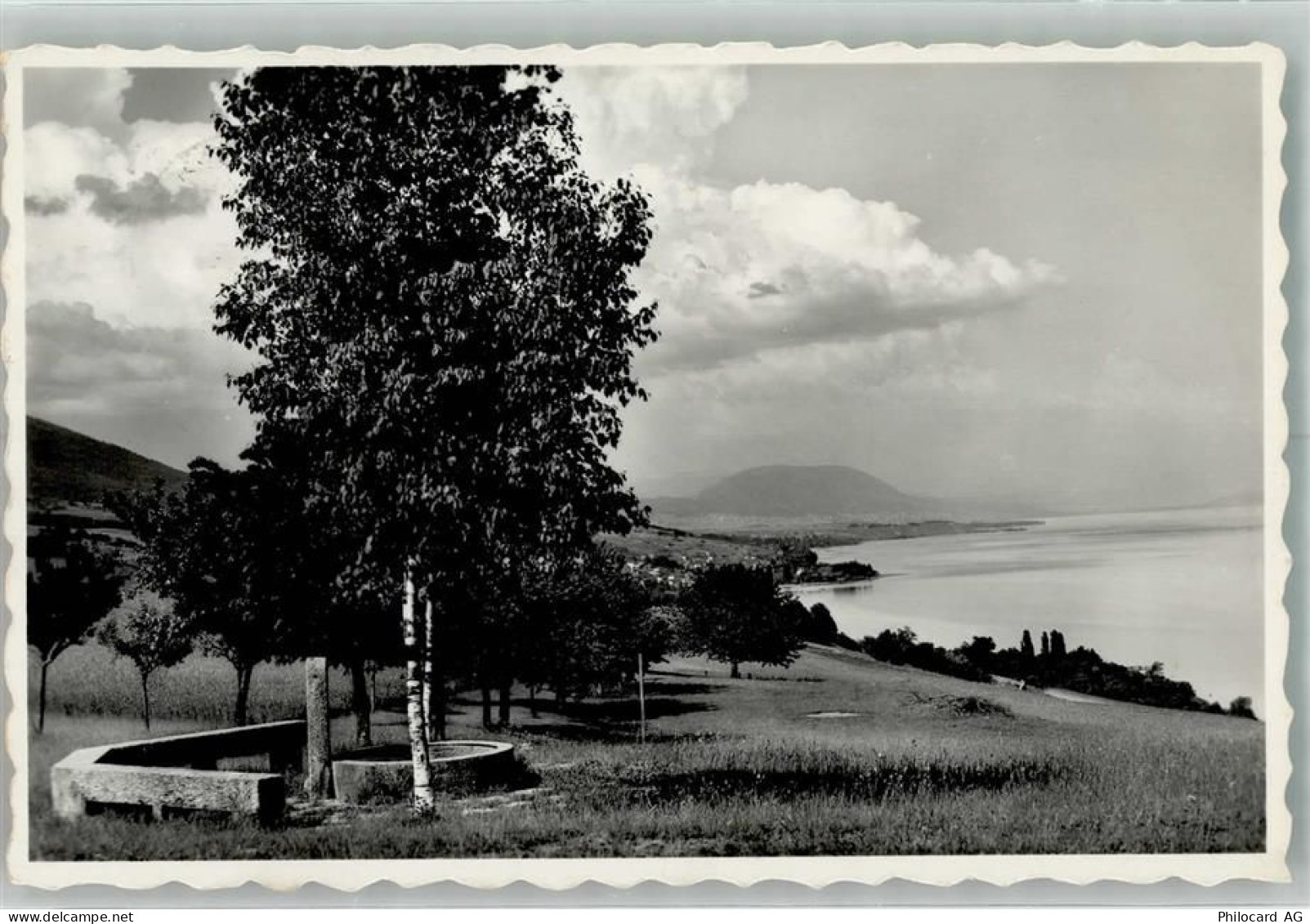 2028 Vaumarcus 1950 Foto AK Camp de Vaumarcus - 38067642