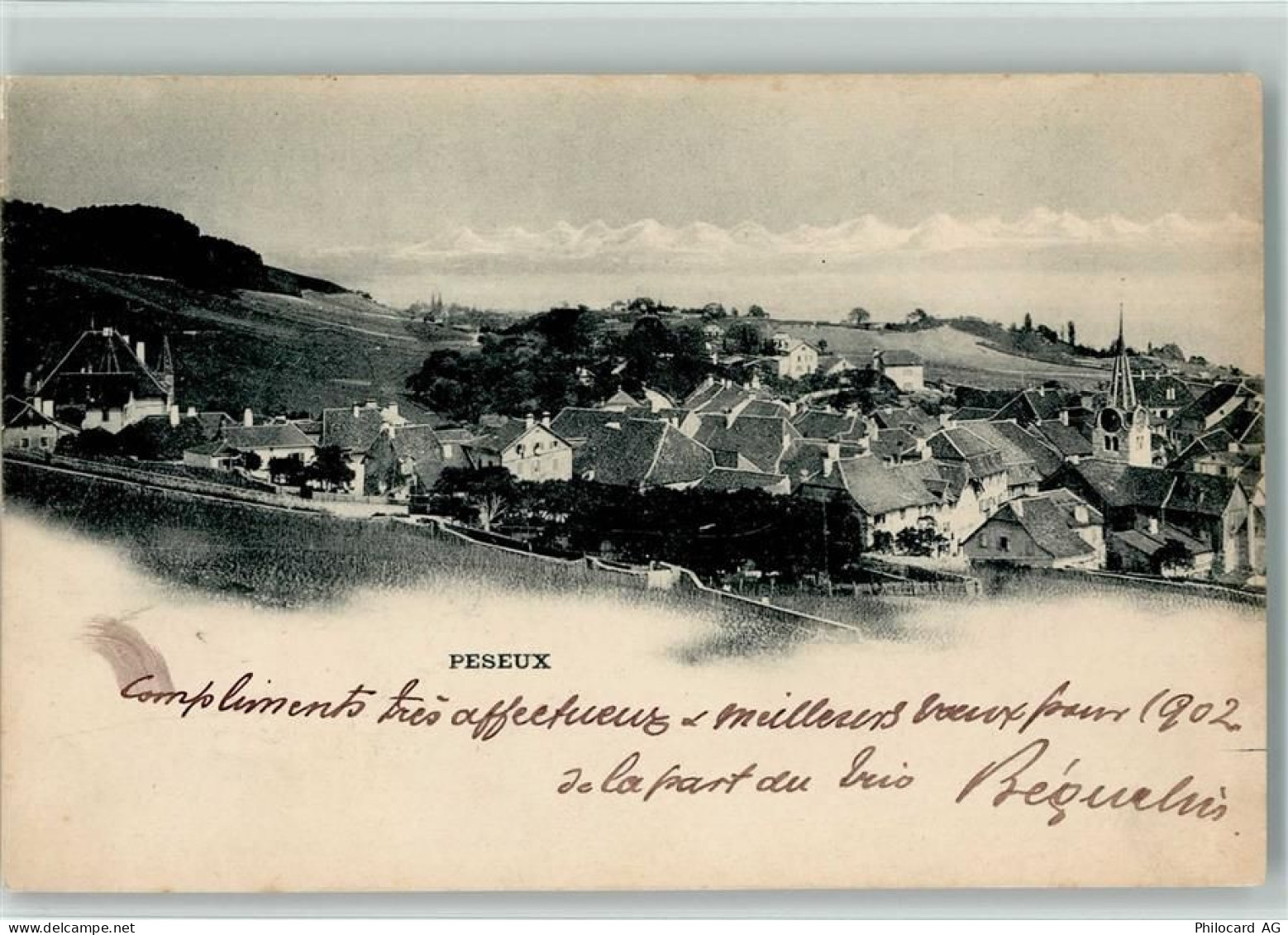 2034 Peseux - 13101179