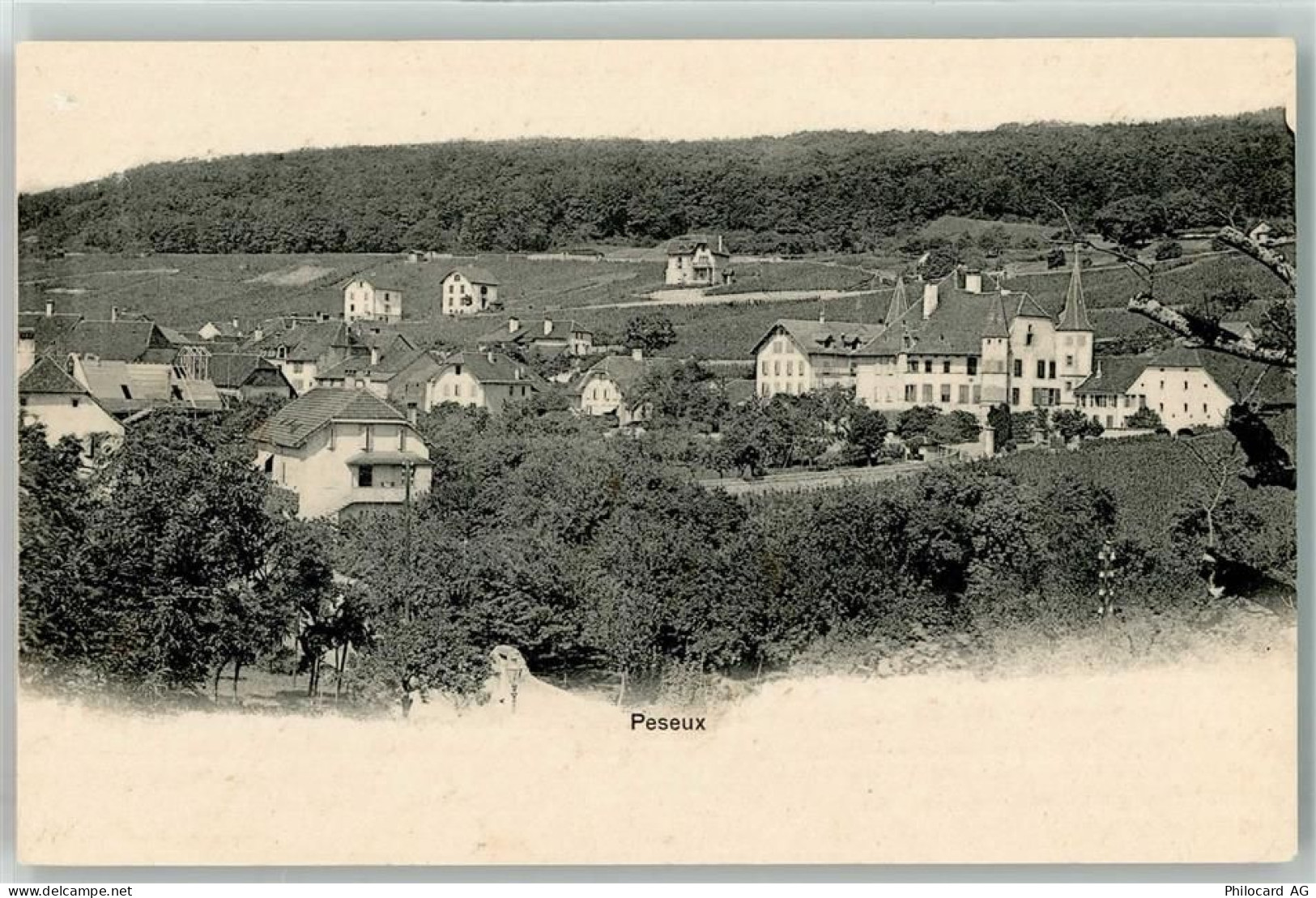 2034 Peseux 1902 - 13910199