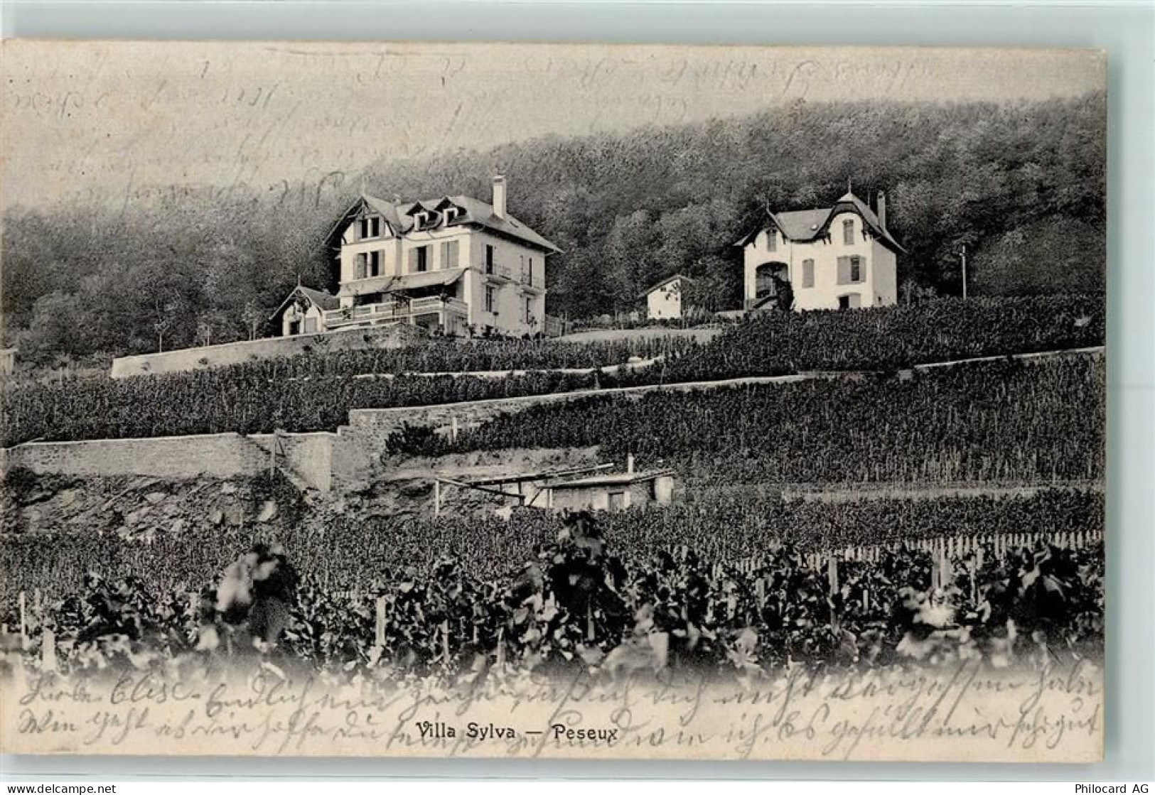 2034 Peseux 1904 - Villa Sylva - 13127905