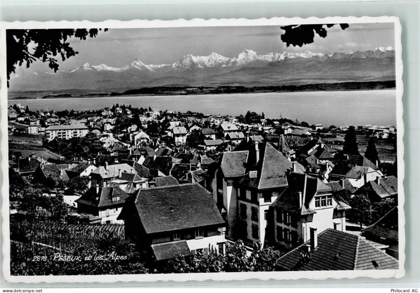 2034 Peseux - et les Alpes - 10218953