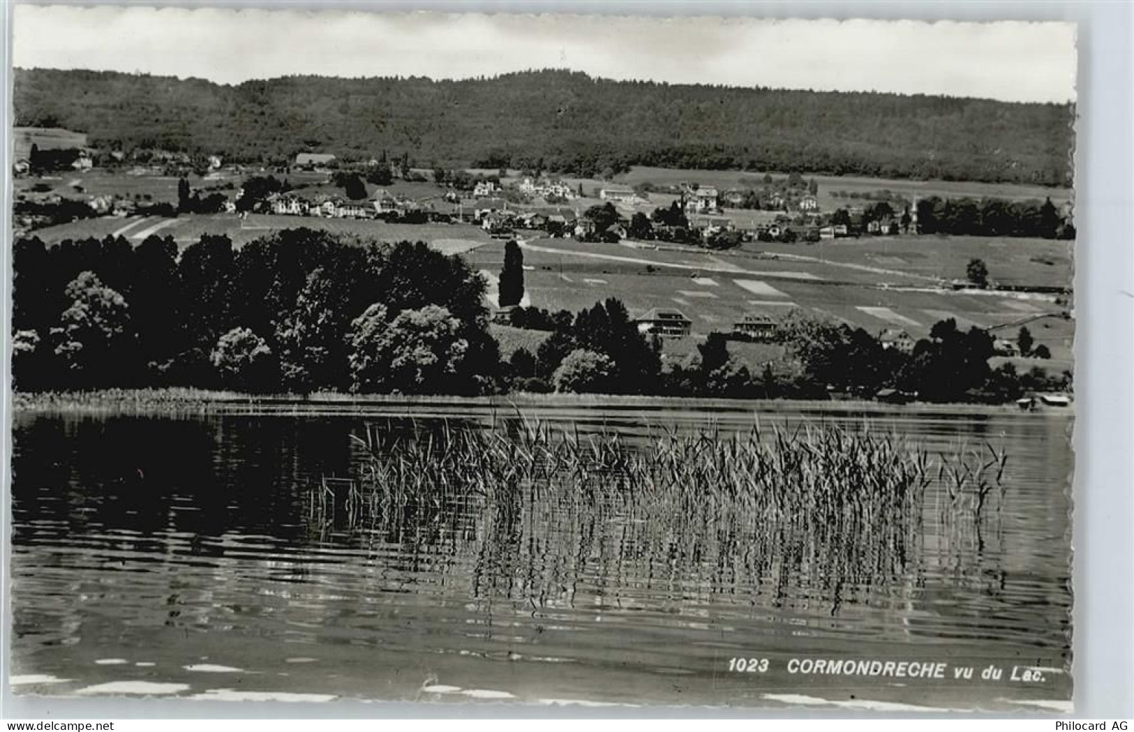 2036 Cormondrèche - AKU1 - 50699802