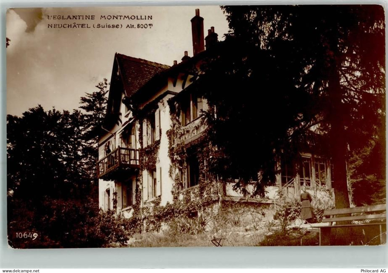 2037 Montmollin - L Eglantine Bank Frau - 10586693