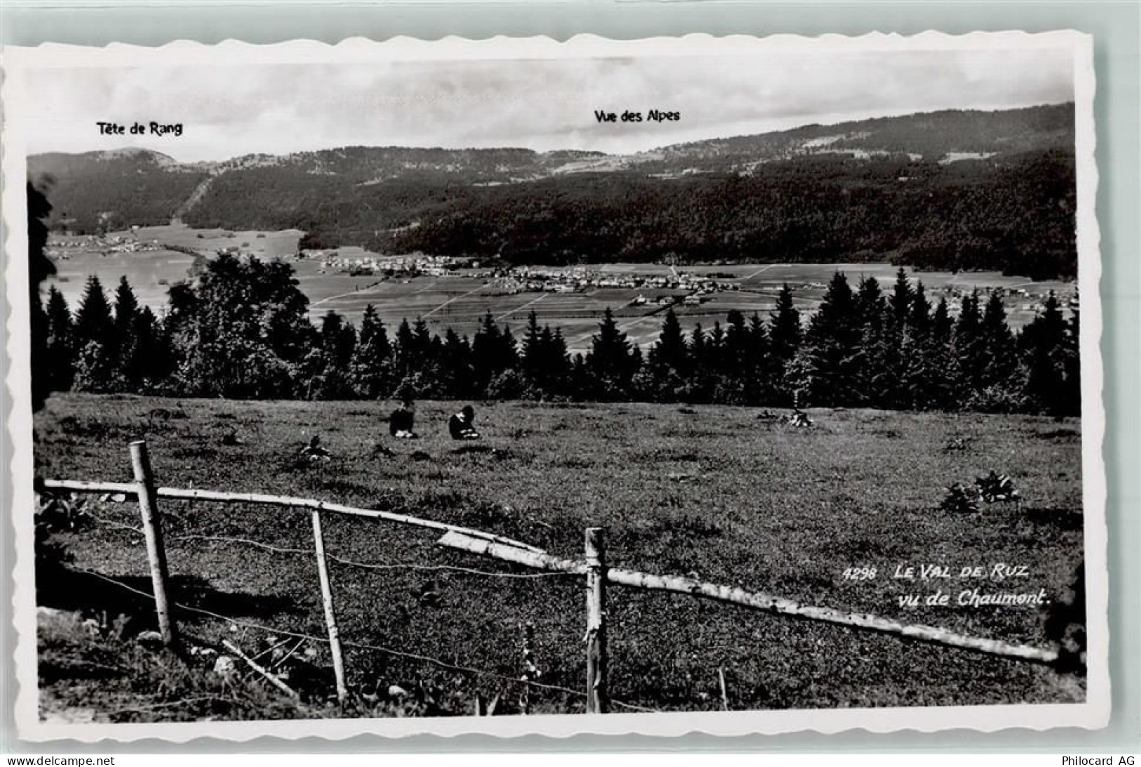 2053 Cernier - Val de Ruz Vue des Alpes - 10584745