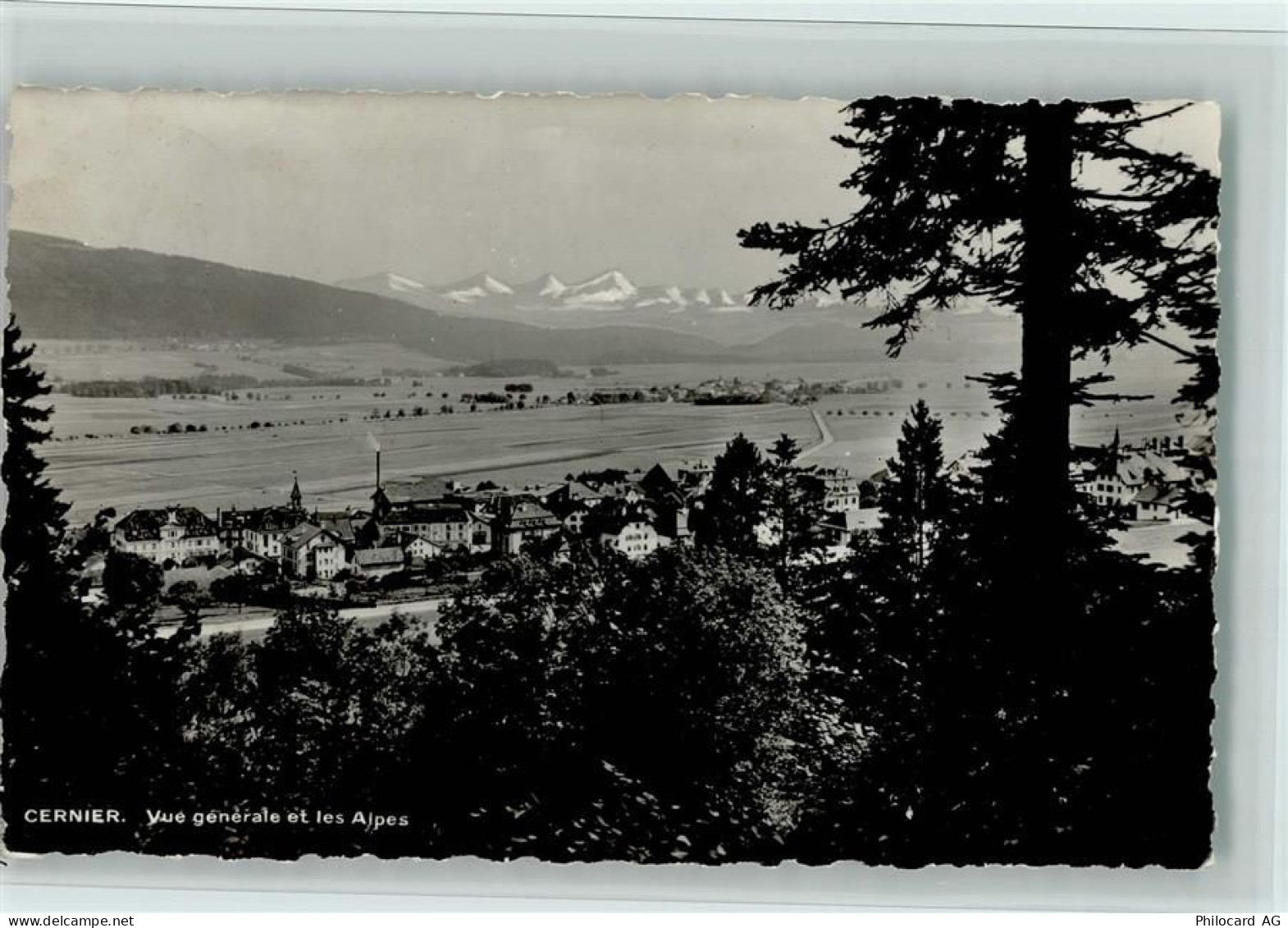 2053 Cernier - Vue generale et les Alpes - 11084625