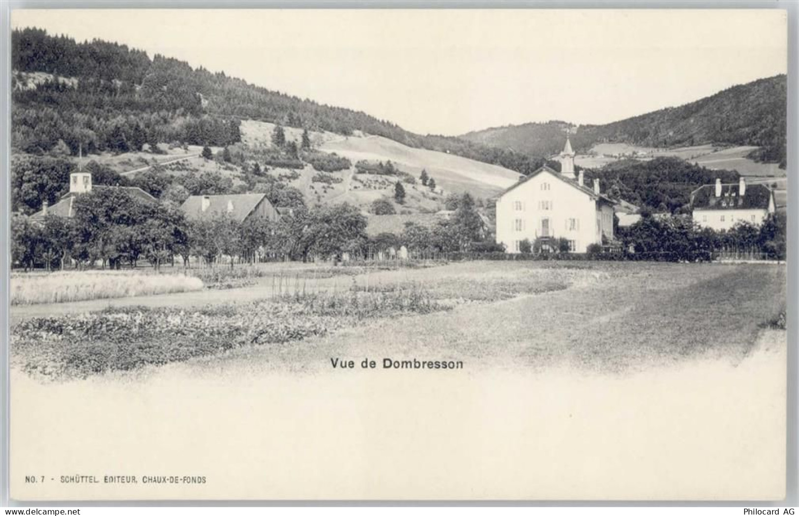 2056 Dombresson - 50609596