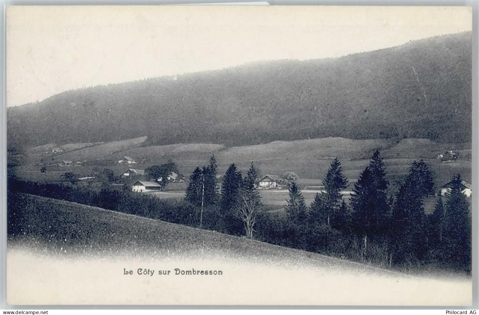 2056 Dombresson - 50609598