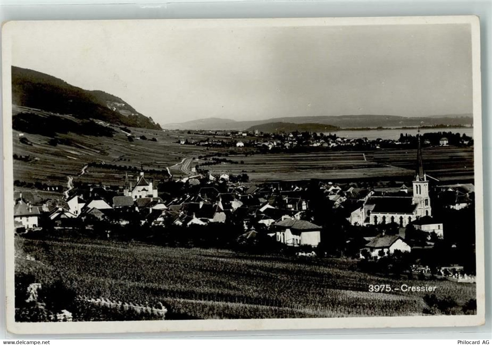 2088 Cressier NE - 10219137