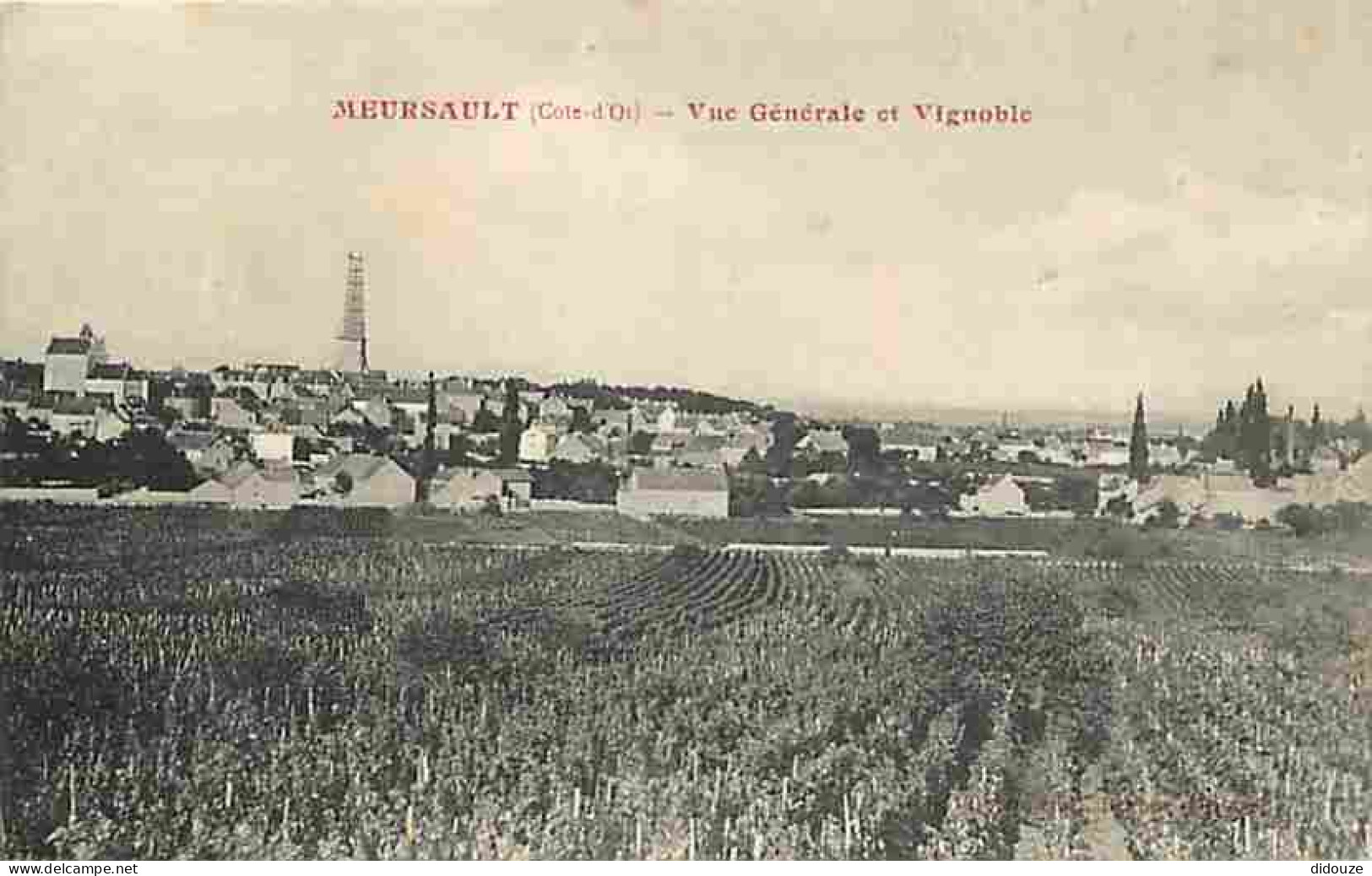 21 - Meursault - Vue Générale et Vignoble - Vignes - CPA - Voir Scans Recto-Verso
