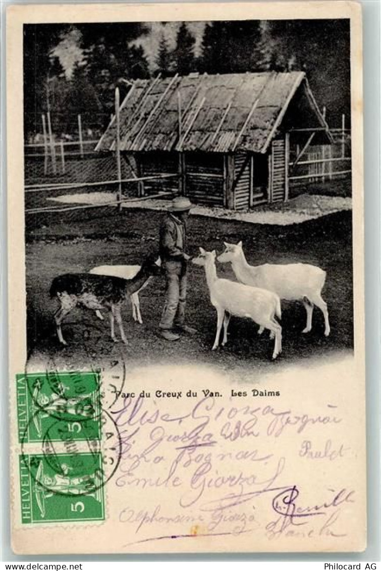 2103 Noiraigue - Les Daims Parc du Creux Ort lt. Stempel - 10604665