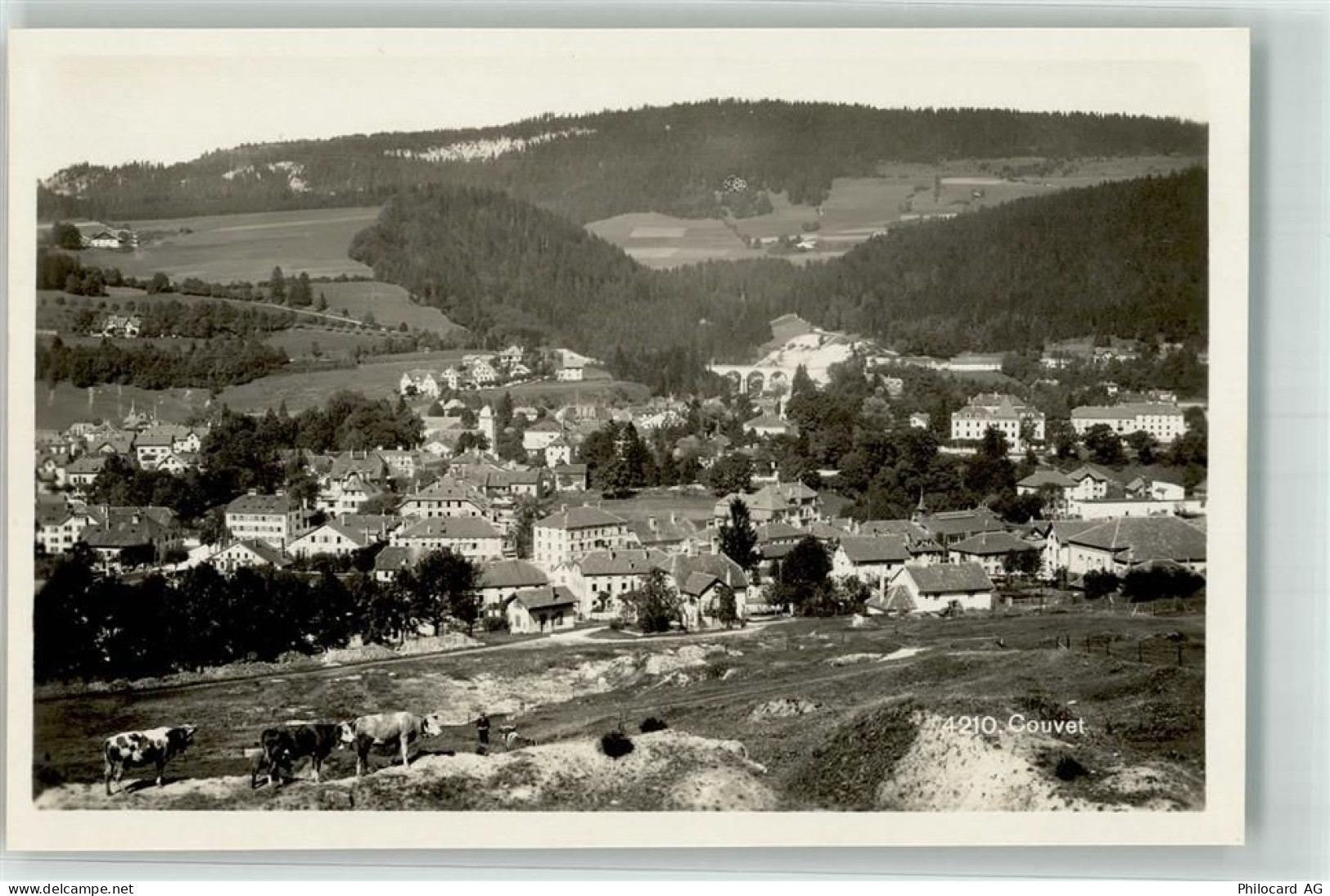 2108 Couvet - Kühe - 39694471