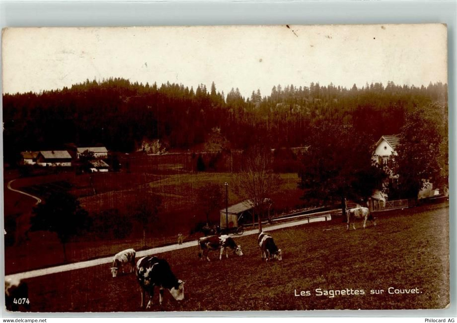 2108 Couvet - Les Sagnettes Kühe - 10607463