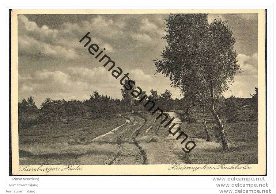 21244 Buchholz - Lüneburger Heide - Weg bei Buchholz