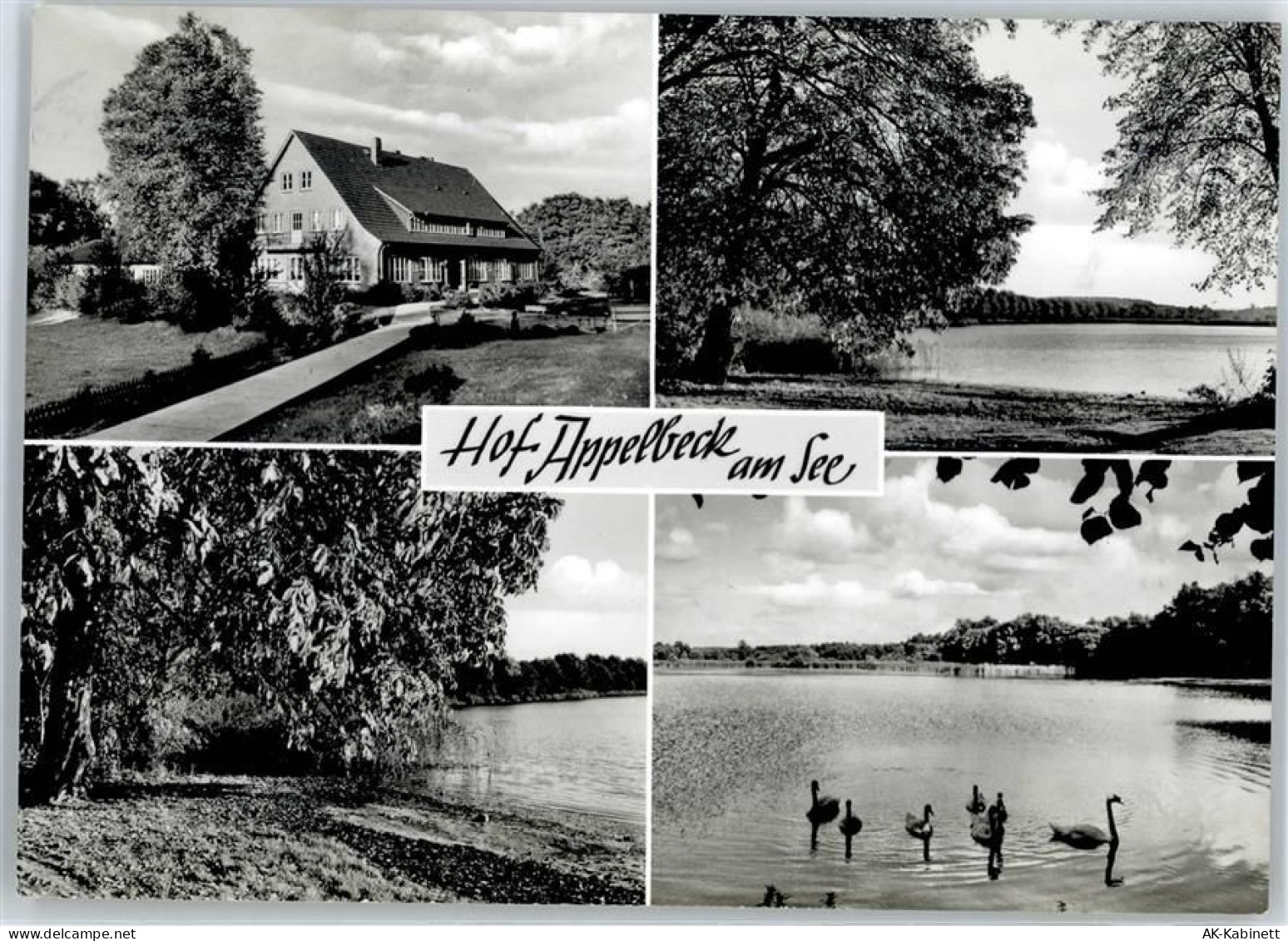 21279 W2114 Hollenstedt , Nordheide - Hof Appelbeck am See - 50961624