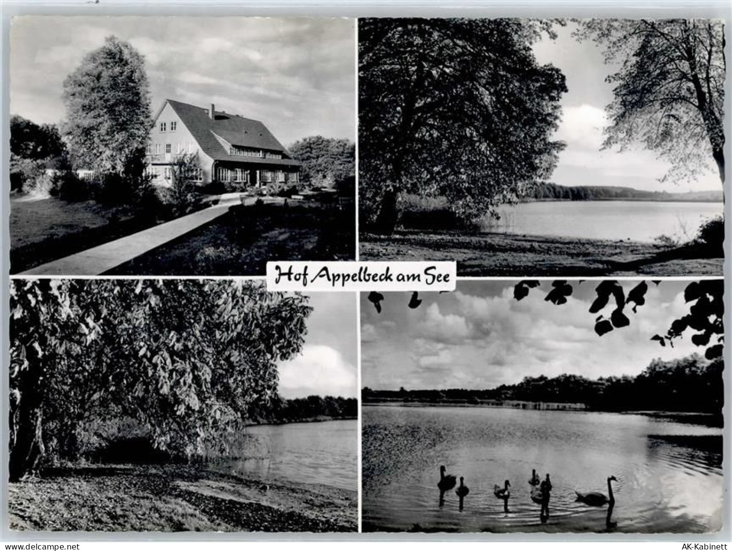 21279 W2114 Hollenstedt , Nordheide - Hof Appelbeck am See - 50961625