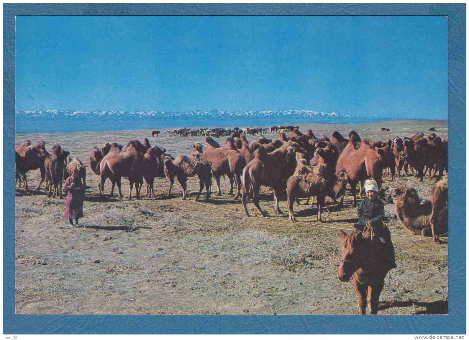 215184 / " A CAMEL BOY " , SOUTH GOBI AIMAK , ANIMAL CAMEL HORSE , Mongolia Mongolei Mongolie