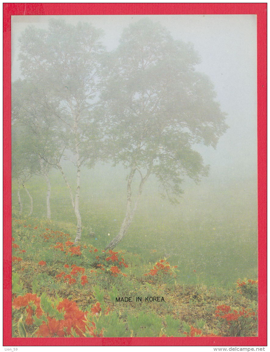 218819 / LANSCAPE - MADE IN KOREA