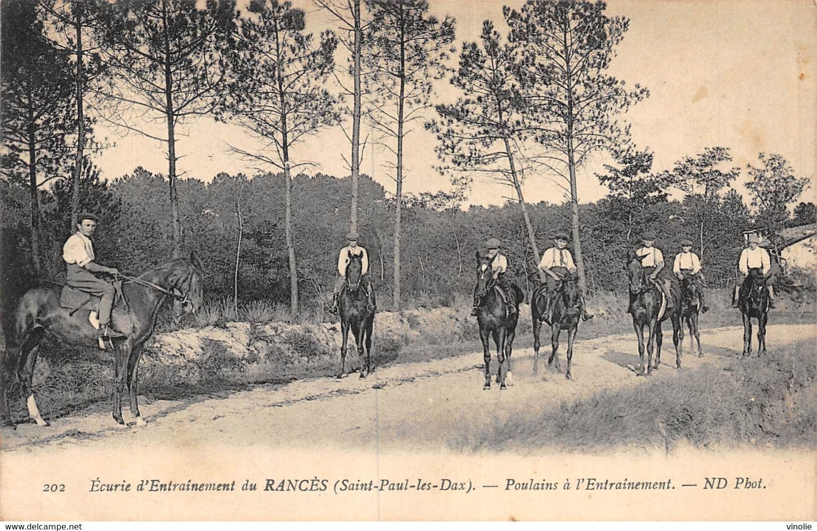 22-4463 : ECURIES D'ENTRAINEMENT DU RANCES. SAINT-PAUL-LES-DAX. POULAINS. CHEVAL. CAVALIERS