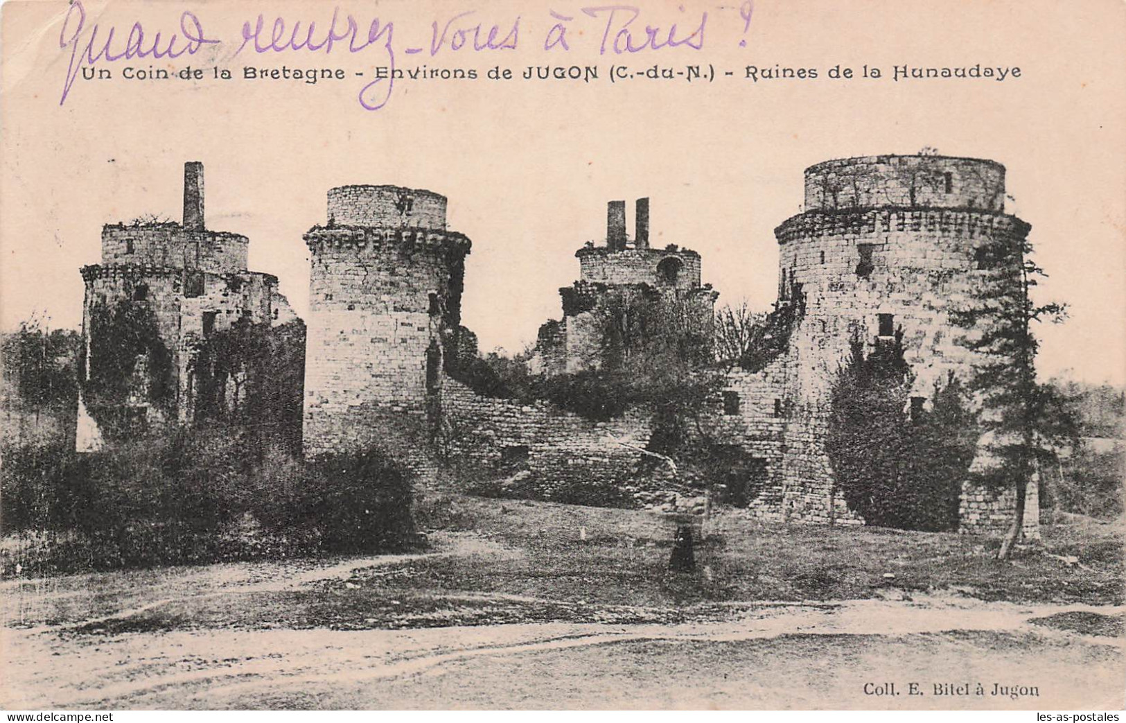 22 JUGON LES LACS RUINES DE LA HUNAUDAYE