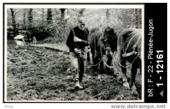 22 Plénée-Jugon - Labours chez les Frères Corbel à Plénée-Jugon (Côtes-du-Nord) Ici René Corb /  D22D  K22084K  C22185C