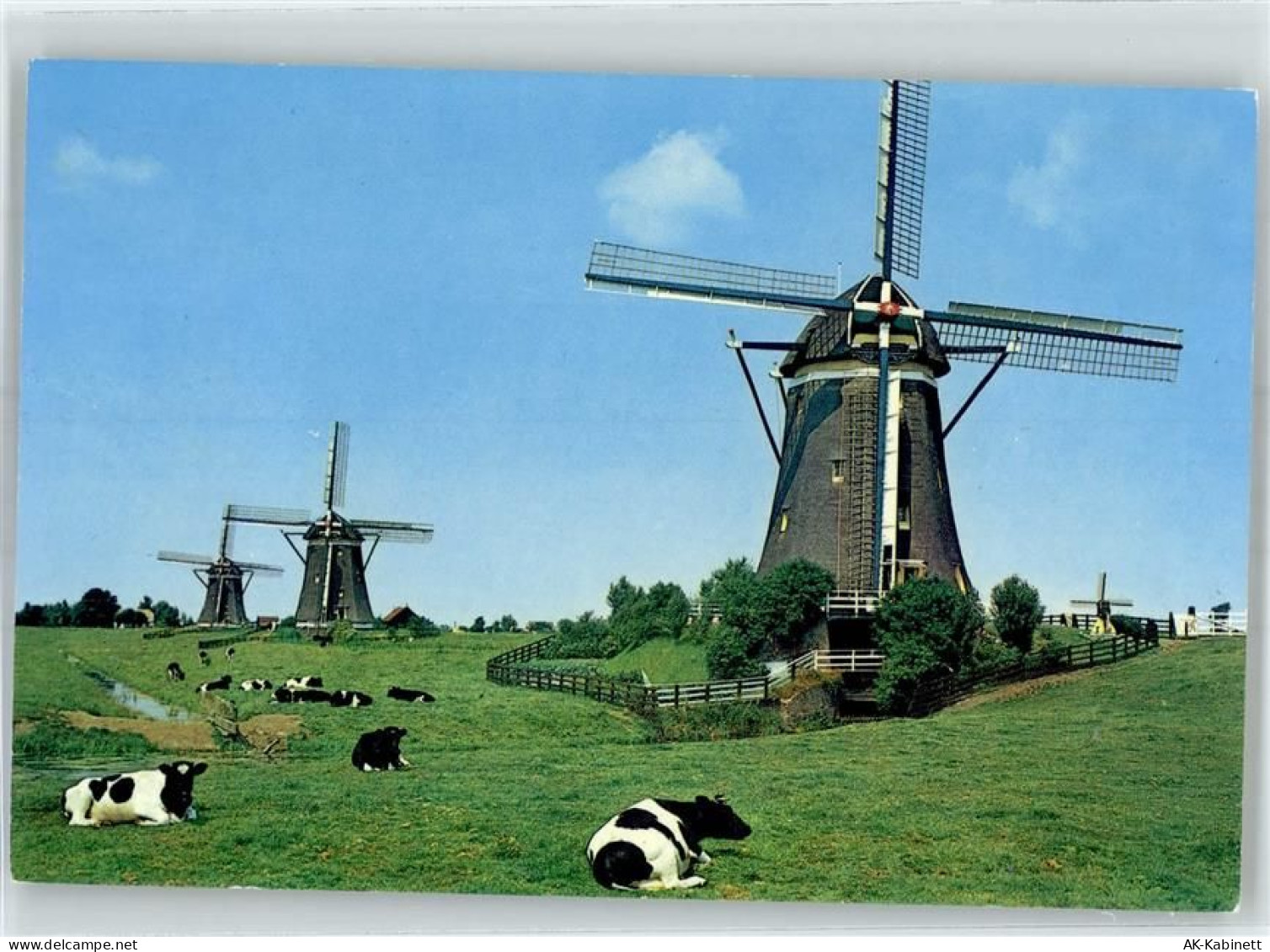 2261 Leidschendam - Windmühle Kühe - 51766262