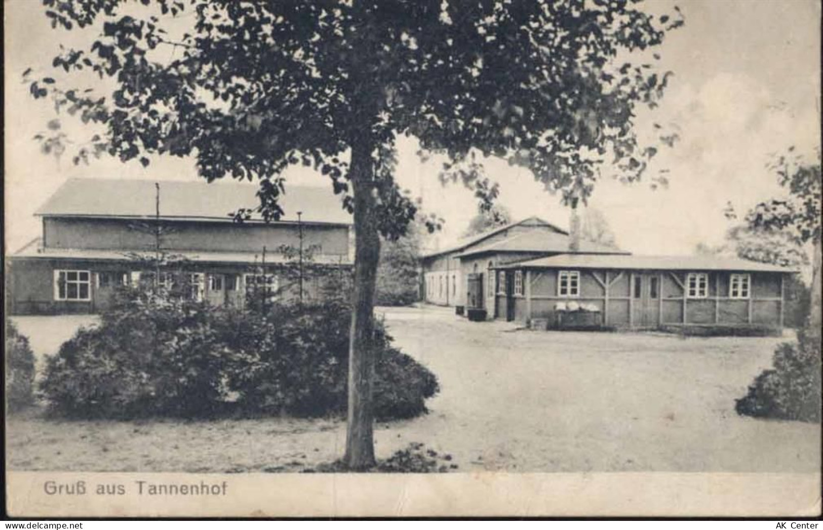 22844 W2000 Norderstedt 1911 - Gruß aus Tannenhof,Prokopp - 20069632