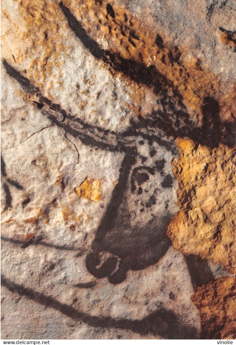 23-JK-5185 : MONTIGNAC-SUR-VEZERE. PREHISTOIRE. TAUREAU