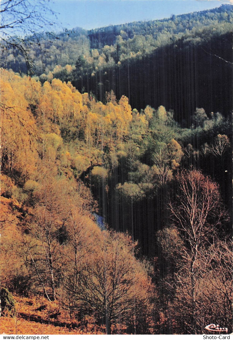 23 ROYERE DE VASSIVIERE