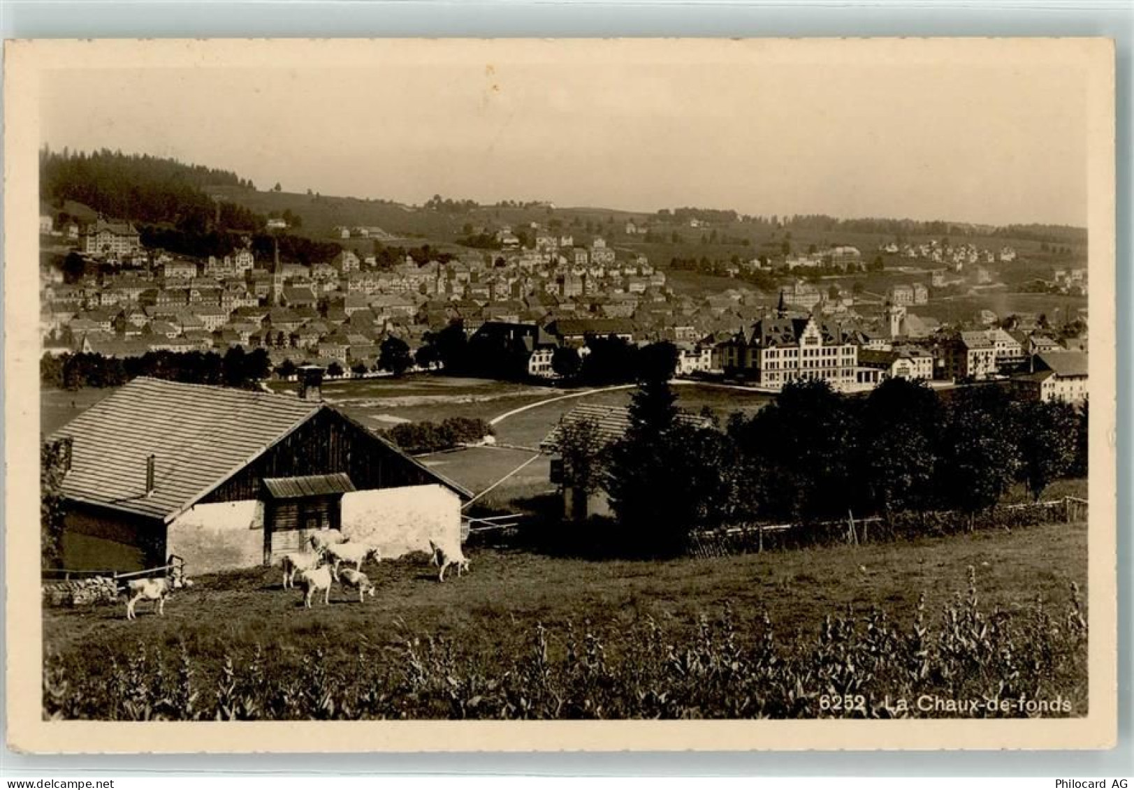 2300 La Chaux-de-Fonds - 10620712