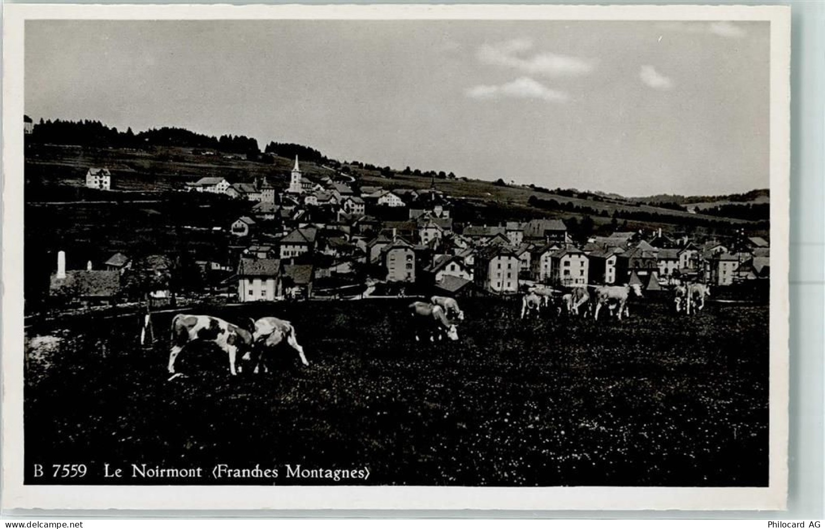 2340 Le Noirmont Le Peu-Péquignot - Kühe - 13149469
