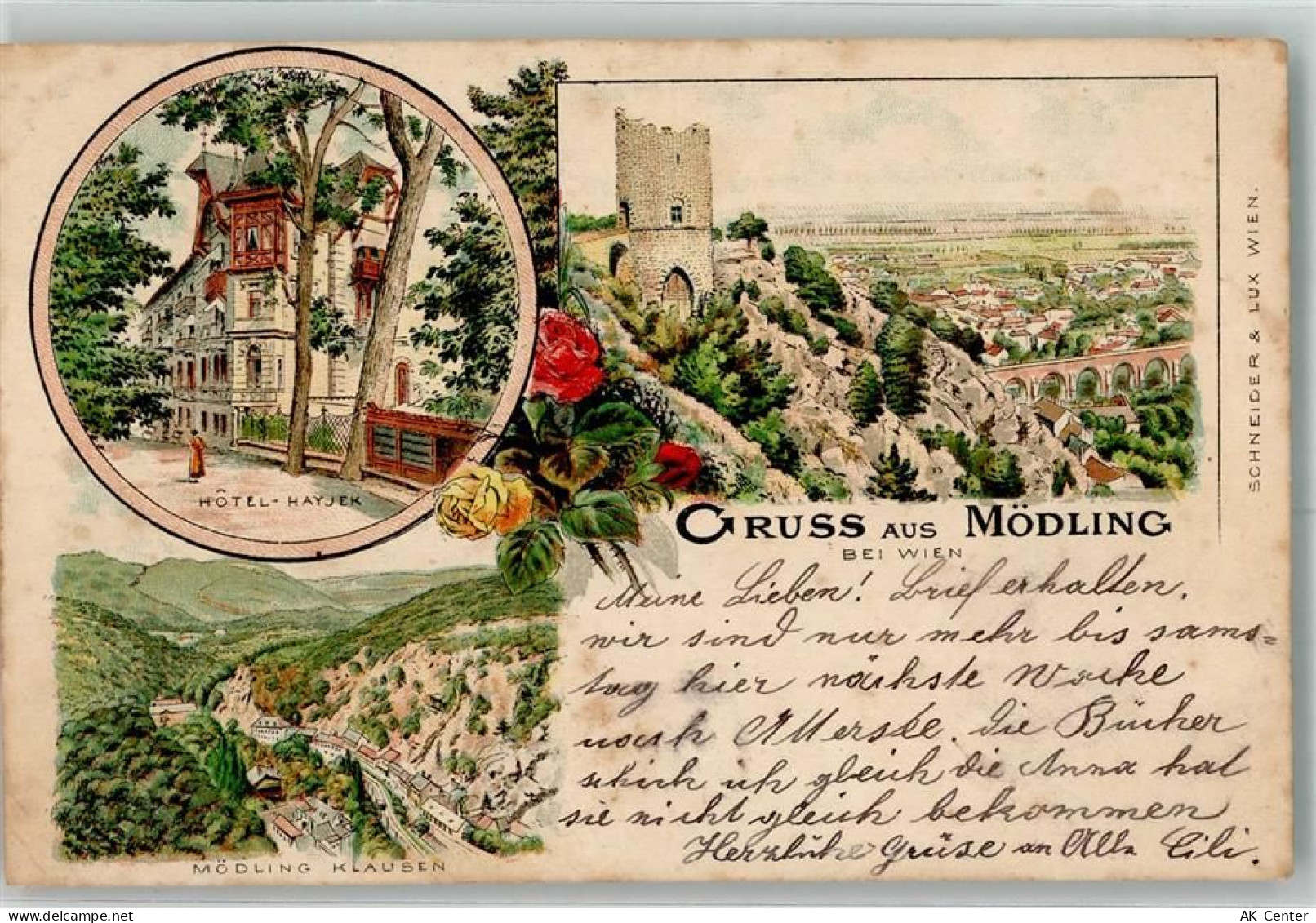 2340 Mödling Lithographie Hotel Hayjek - 13647634
