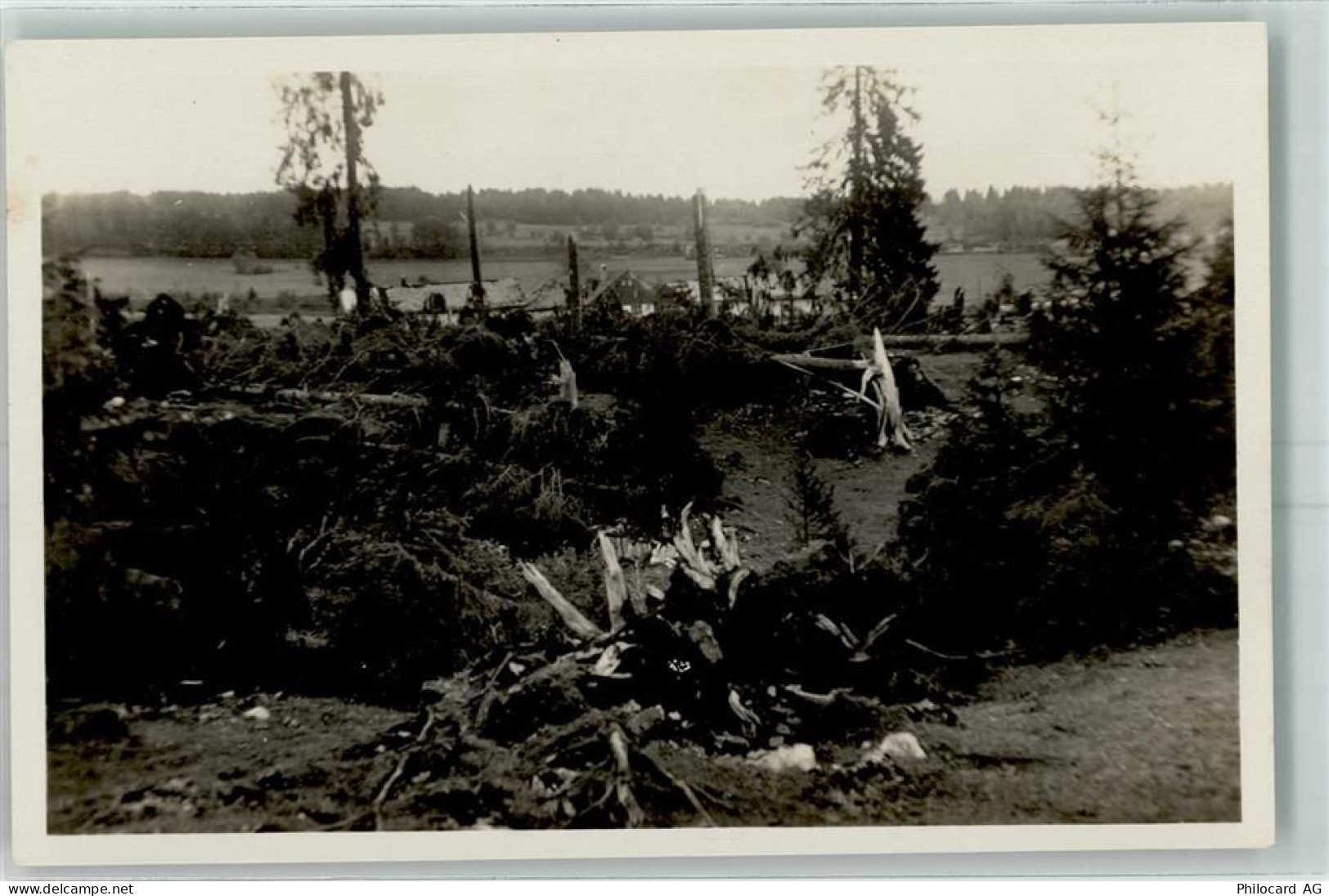 2345 Les Breuleux - Foret pres de la Vacherie des Breuleux - 13172953