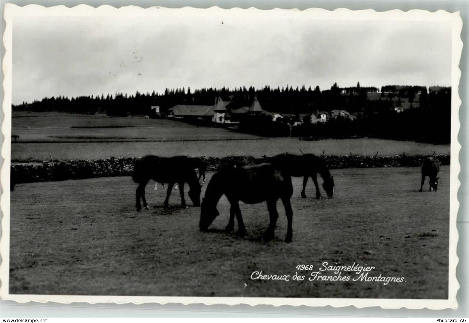 2350 Saignelégier 1954 Foto AK - 38022635