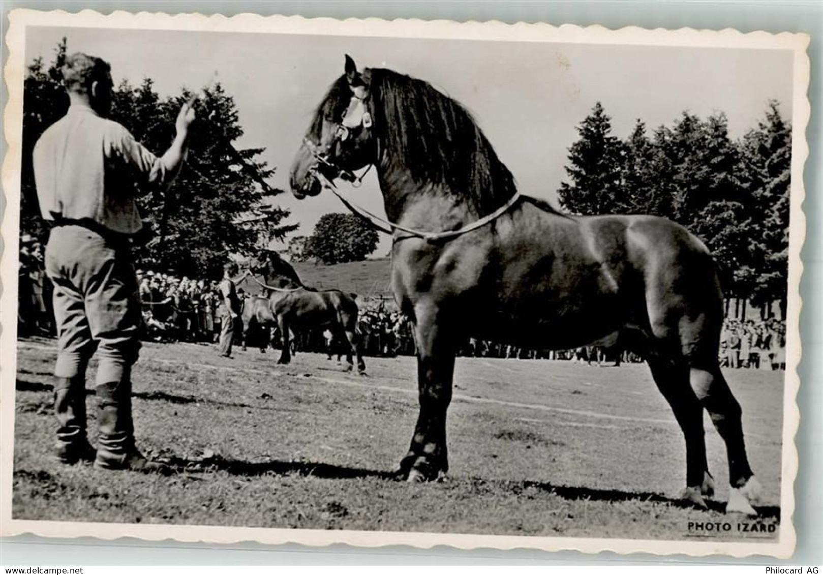 2350 Saignelégier Foto AK Marché -concours - 10741546