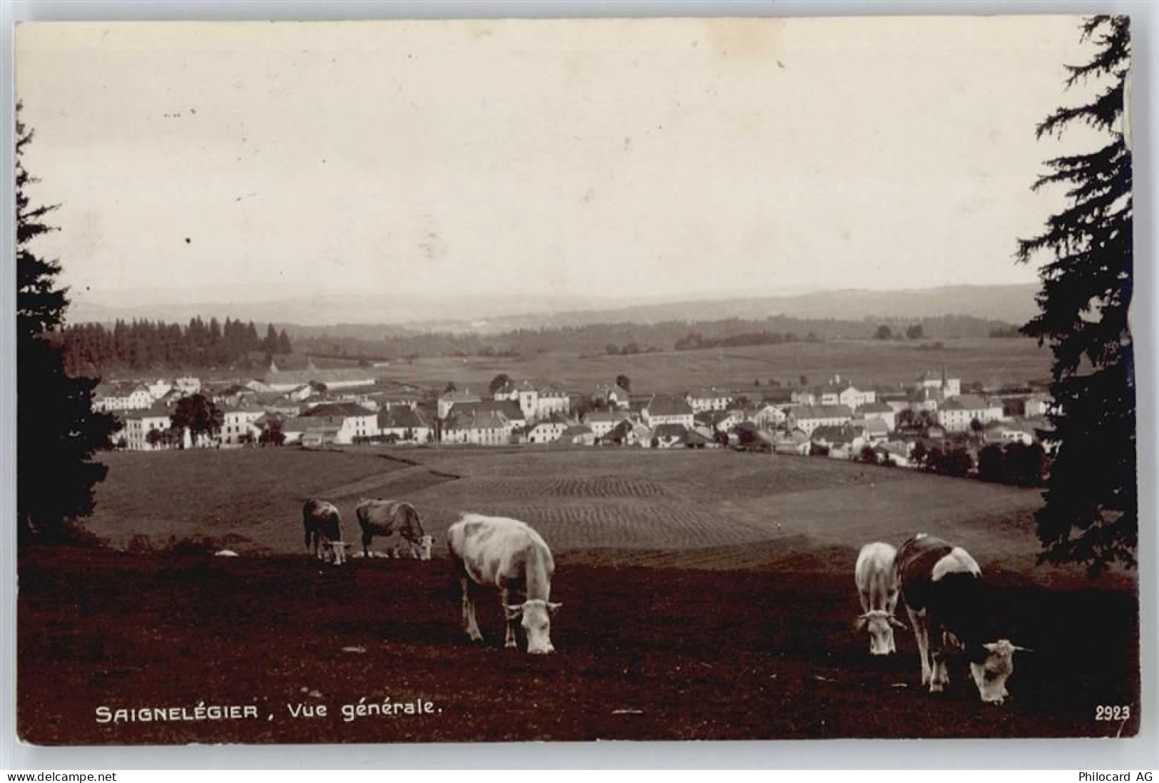 2350 Saignelégier - Gesamtansicht - 50730500