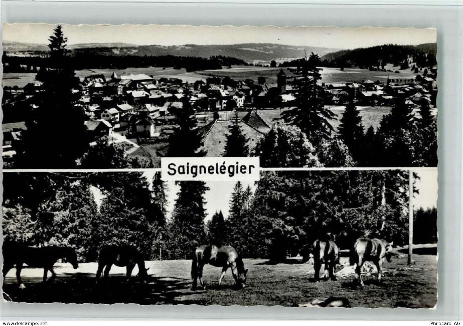 2350 Saignelégier - Pferde - 11051300